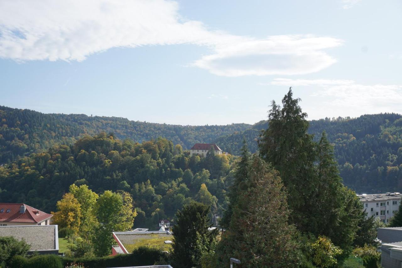 Ferienwohnung Schauinsland Neuenburg (Enz) Exterior foto
